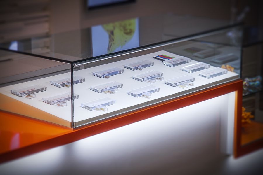 Megan Stone modern marijuana dispensary